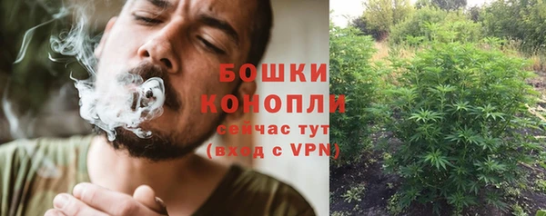 гидра Майский