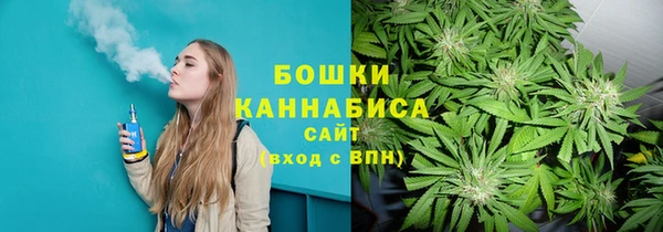 стафф Верхний Тагил