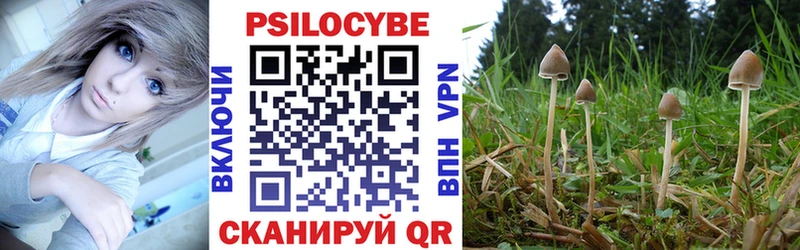 Псилоцибиновые грибы Cubensis  купить   Кандалакша 